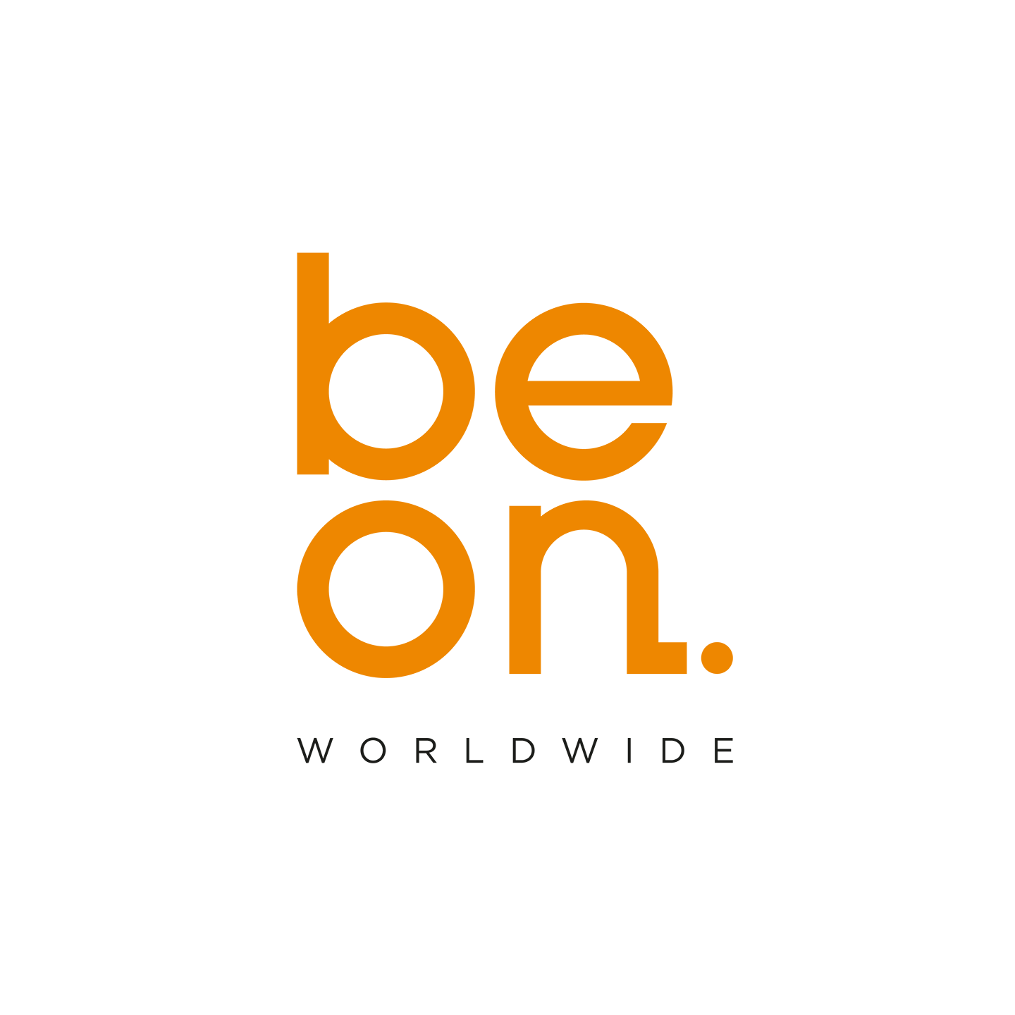 Client Project Photo 11